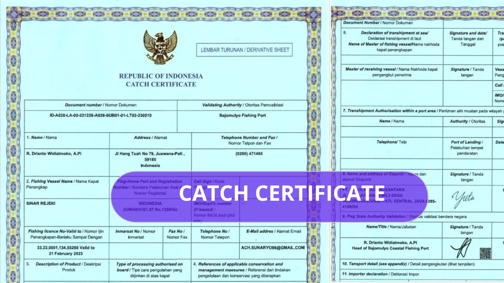 CATCH CERTIFICATE